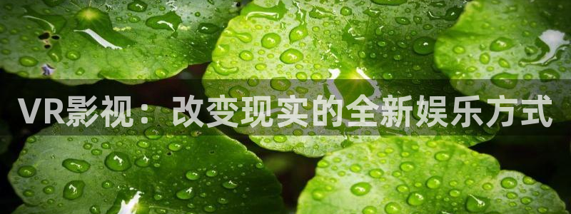 51视频在线观看免费