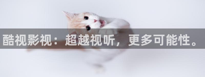 51视频精品全部免费