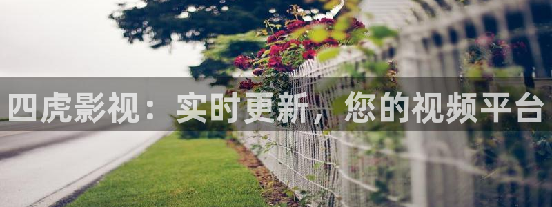 51视频视频在线观看