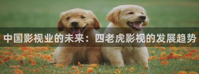 51视频下