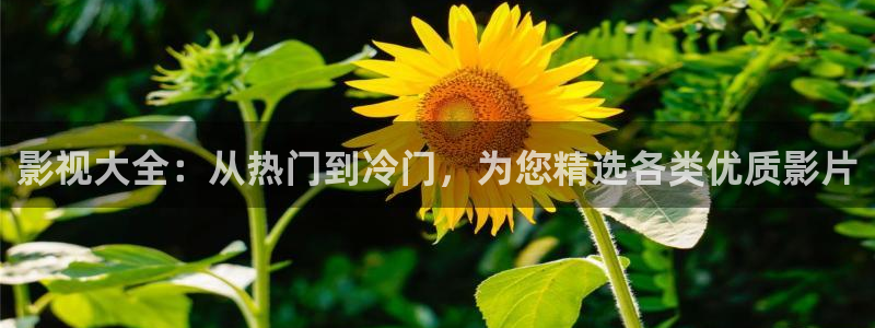 51视频观看：影视大全：从热门到冷门，为您精选各类优质影片