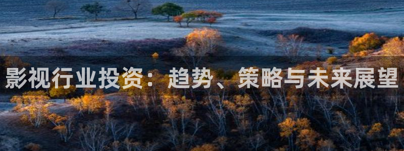 在线51视频：影视行业投资：趋势、策略与未来展望