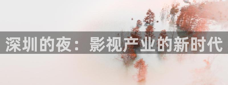 51视频app：深圳的夜：影视产业的新时代