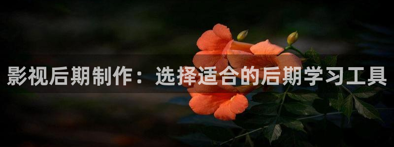 51视频免费下载