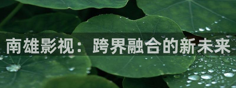 51视频app下载