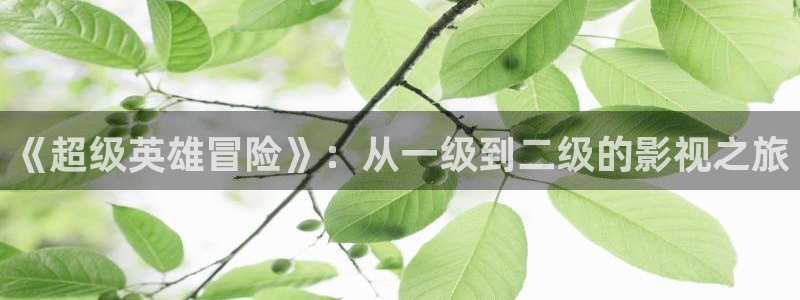 51视频网站登录：《超级英雄冒险》：从一级到二级的影视之旅