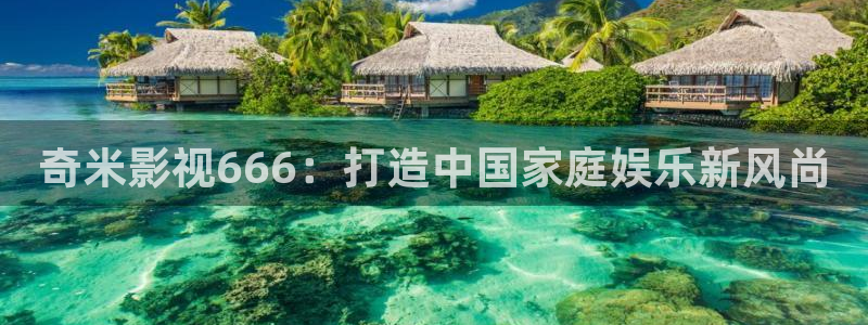 51视频免费观看网站