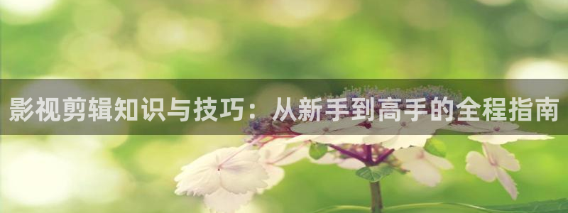 51视频看片